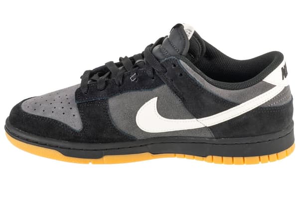 Nike Dunk Low Retro SE HQ1931-001, Man, Sneakers, svart