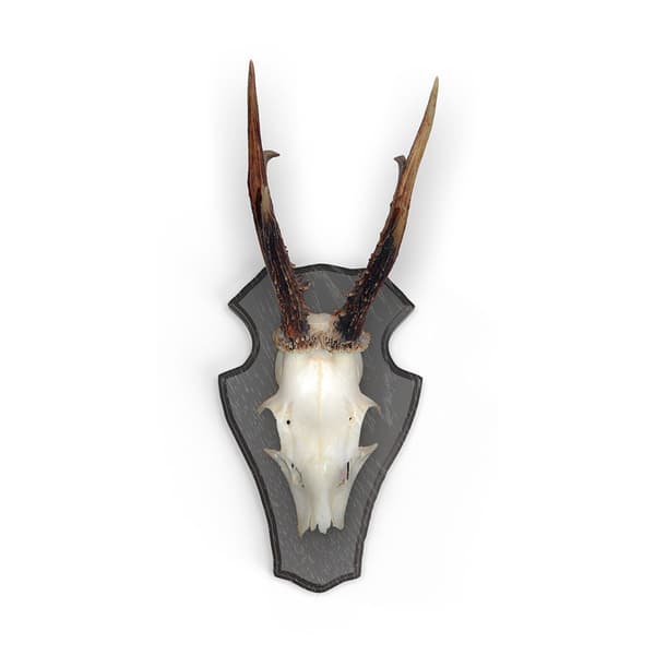 Eurohunt Ek Hjort Troféplatta 1 Med Plastklips 10 Enheter Brun 22x13 cm