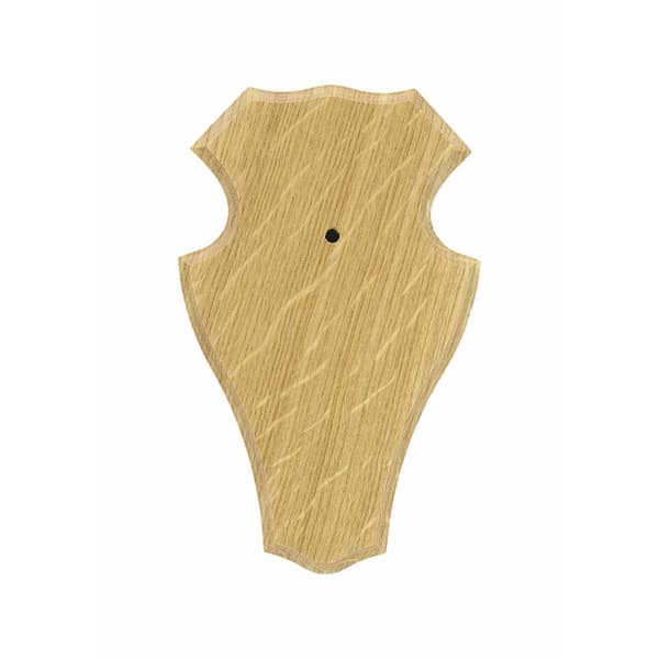 Eurohunt Tammihirven Trofeelevy 1 Muoviklipseillä 10 Yksiköt Keltainen 22x13 cm