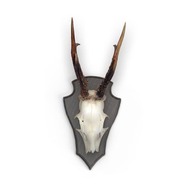 Eurohunt Tammihirven Trofeelevy 2 Metallikiinnikkeillä 5 Yksiköt Ruskea 22x13 cm
