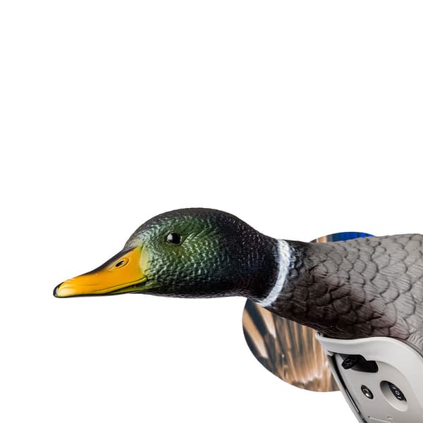 Mojo Outdoors King Mallard With Battery Bete