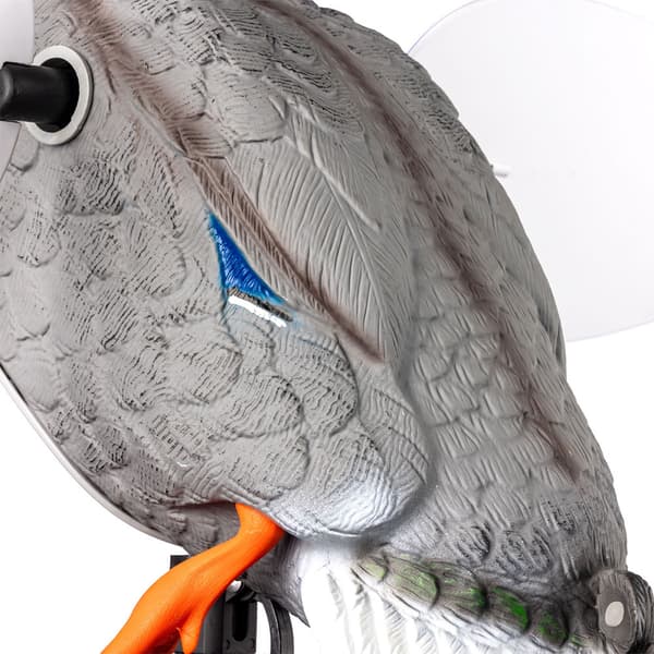 Mojo Outdoors King Mallard With Battery Bete