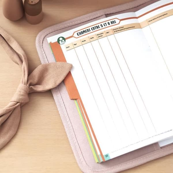 BEABA, Puderrosa canvas hälsojournalomslag