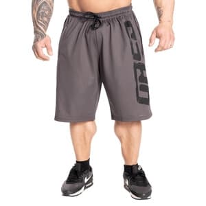 Pro Mesh Shorts, grey, GASP XL