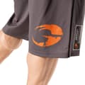 Miniatyrbild 7 av 8: Pro Mesh Shorts, grey, GASP
