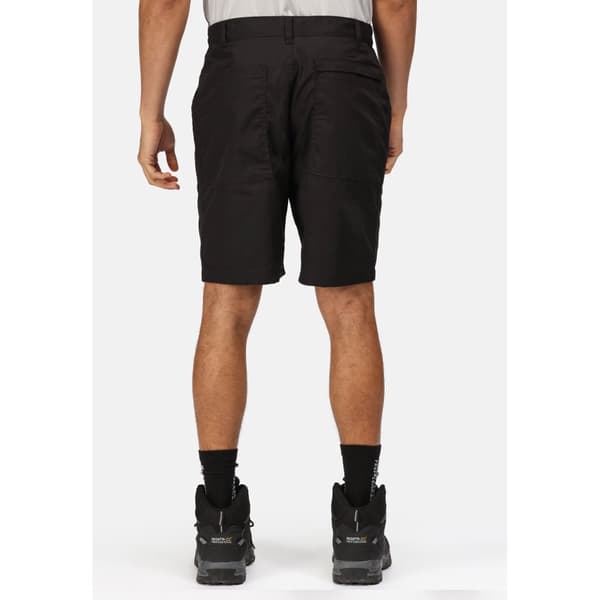 Regatta Mens New Action Shorts