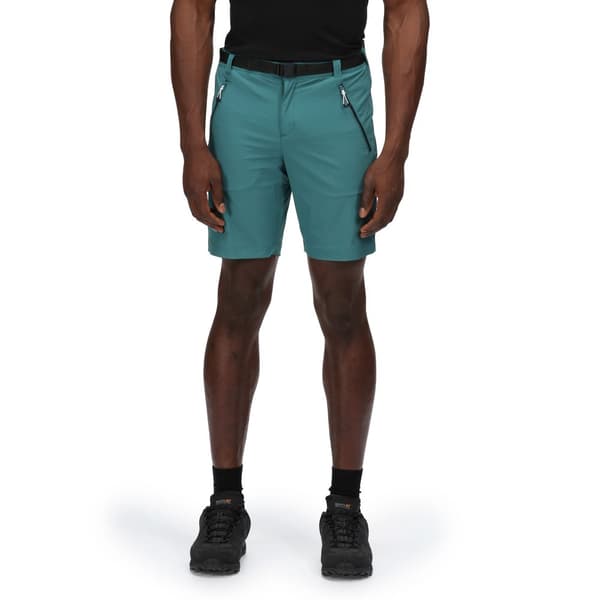 Regatta Xert III Stretch Shorts til mænd
