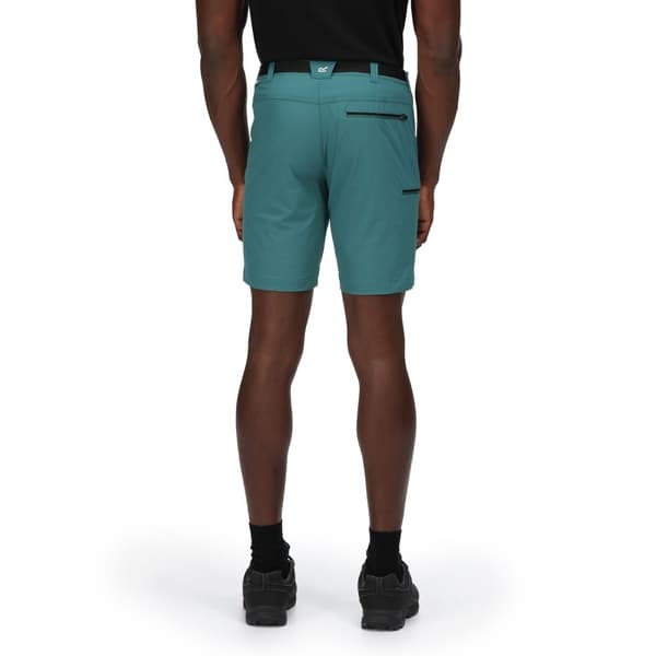 Regatta Xert III Stretch Shorts til mænd