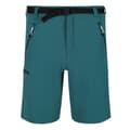 Miniatyrbillede 1 af 5: Regatta Xert III Stretch Shorts til mænd