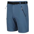 Miniatyrbillede 3 af 4: Regatta Xert III Stretch Shorts til mænd