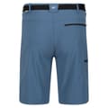 Miniatyrbillede 2 af 4: Regatta Xert III Stretch Shorts til mænd