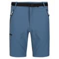 Miniatyrbillede 1 af 4: Regatta Xert III Stretch Shorts til mænd