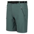Miniatyrbillede 3 af 4: Regatta Xert III Stretch Shorts til mænd