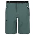 Miniatyrbillede 1 af 4: Regatta Xert III Stretch Shorts til mænd