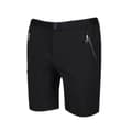 Miniatyrbillede 3 af 5: Regatta Xert III Stretch Shorts til mænd