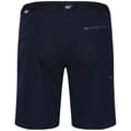 Miniatyrbillede 2 af 5: Regatta Xert III Stretch Shorts til mænd