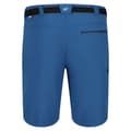 Miniatyrbillede 2 af 5: Regatta Xert III Stretch Shorts til mænd