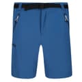 Miniatyrbillede 1 af 5: Regatta Xert III Stretch Shorts til mænd