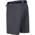 Miniatyrbillede 4 af 5: Regatta Xert III Stretch Shorts til mænd