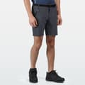 Miniatyrbillede 5 af 5: Regatta Xert III Stretch Shorts til mænd