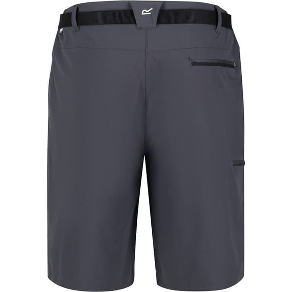 Regatta Xert III Stretch Shorts til mænd