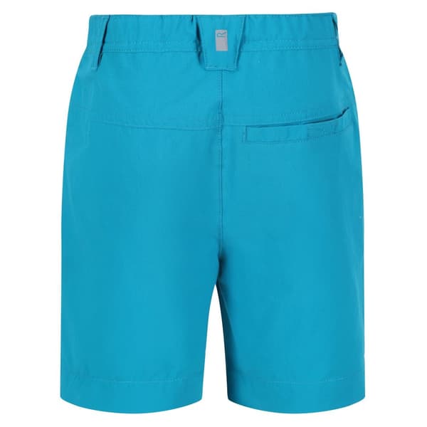 Regatta Childrens/Kids Highton Shorts