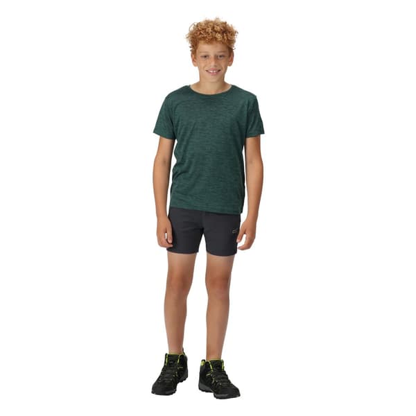 Regatta Childrens/Kids Highton Shorts