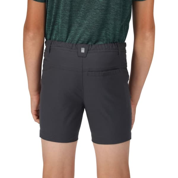 Regatta Childrens/Kids Highton Shorts