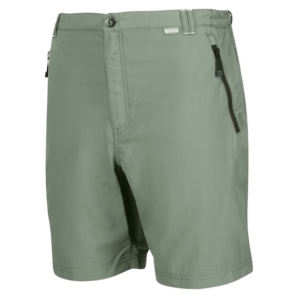 Regatta Leesville II Walking Shorts för män