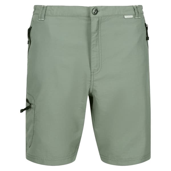 Regatta Leesville II Walking Shorts för män