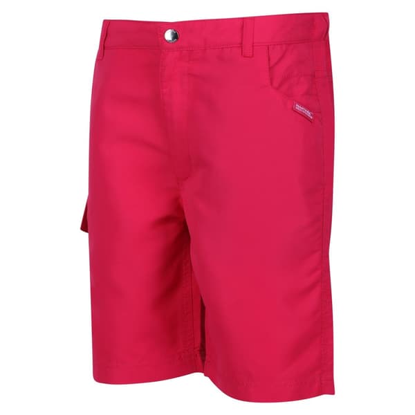 Regatta Childrens/Kids Sorcer II Shorts