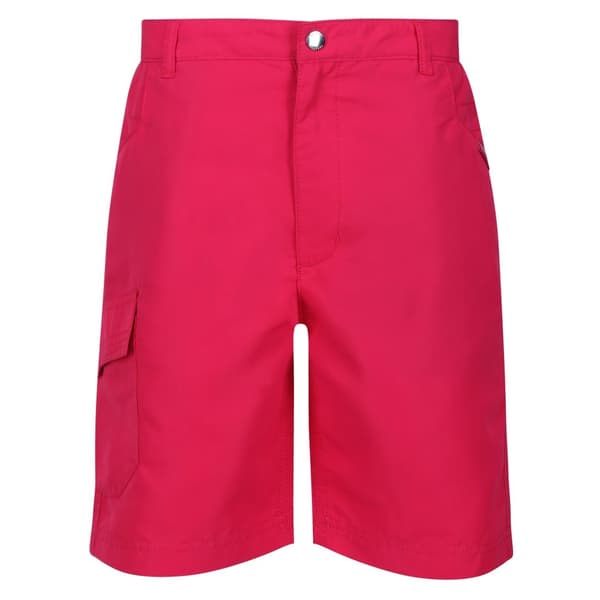 Regatta Childrens/Kids Sorcer II Shorts