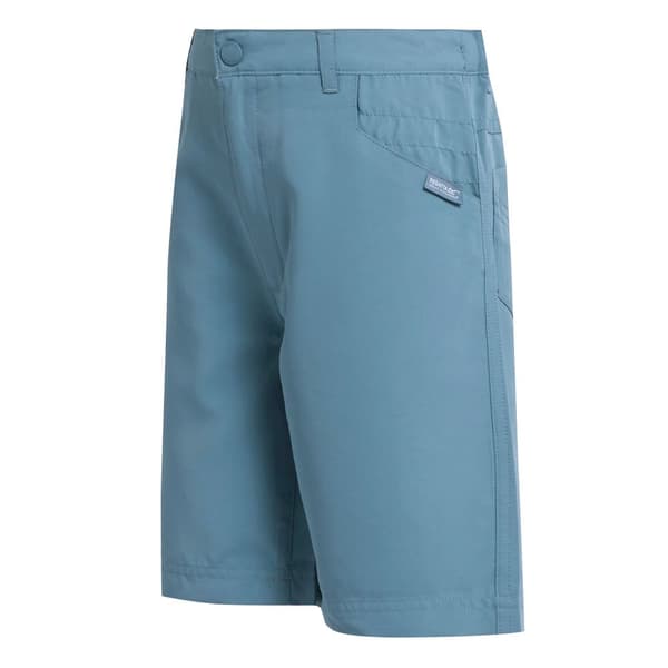 Regatta Børn/Børn Sorcer II Shorts