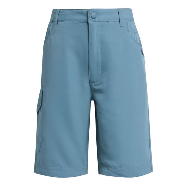 Regatta Børn/Børn Sorcer II Shorts