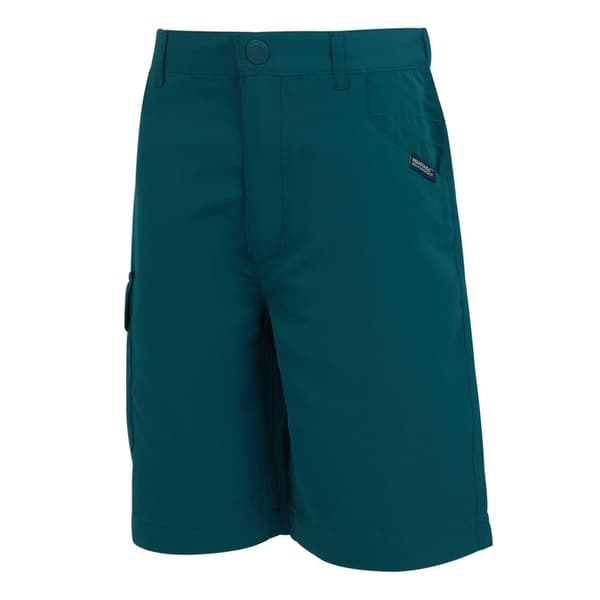 Regatta Børn/Børn Sorcer II Shorts