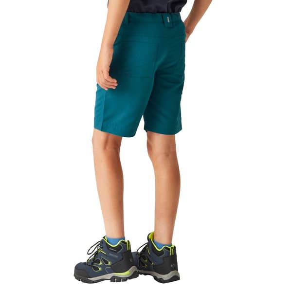 Regatta Børn/Børn Sorcer II Shorts