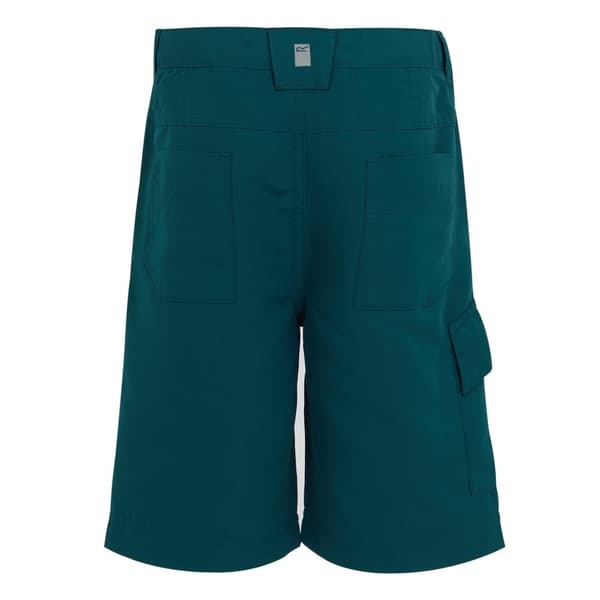 Regatta Børn/Børn Sorcer II Shorts