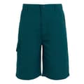 Miniatyrbillede 1 af 5: Regatta Børn/Børn Sorcer II Shorts