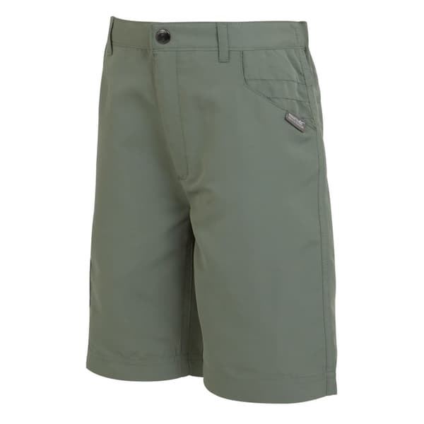 Regatta Børn/Børn Sorcer II Shorts