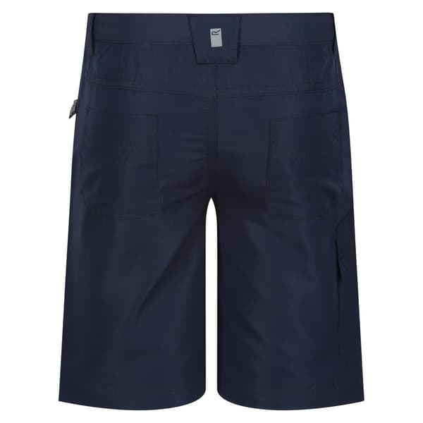 Regatta Childrens/Kids Sorcer II Shorts