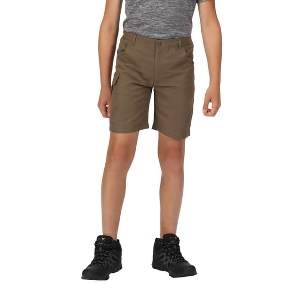 Regatta Børn/Børn Sorcer II Shorts
