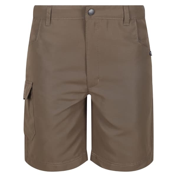 Regatta Børn/Børn Sorcer II Shorts