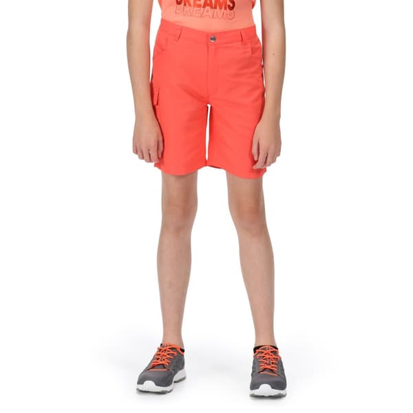 Regatta Børn/Børn Sorcer II Shorts