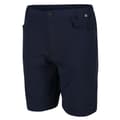 Miniatyrbillede 3 af 5: Regatta Delgado shorts til mænd