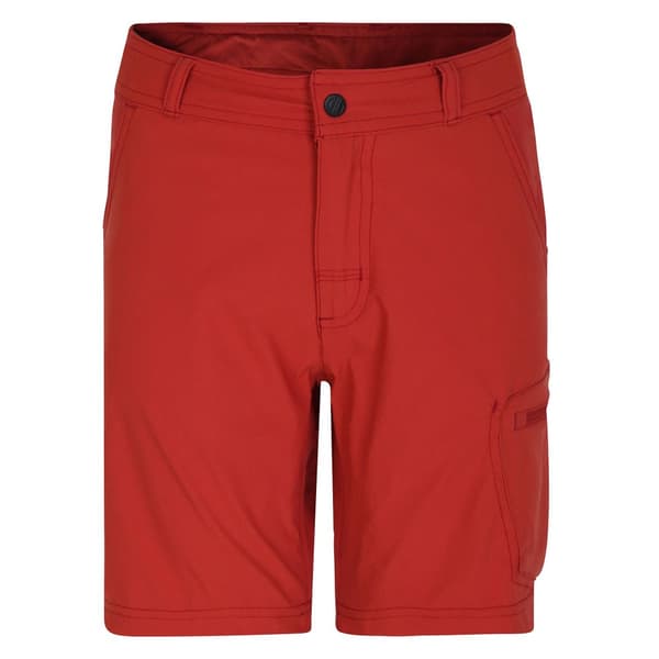 Dare 2B Childrens/Kids Reprise II Shorts