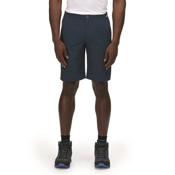 Regatta Highton vandreshorts til mænd