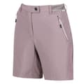 Miniatyrbilde 3 av 4: Regatta Womens/Ladies Mountain II Shorts