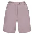 Miniatyrbilde 1 av 4: Regatta Womens/Ladies Mountain II Shorts