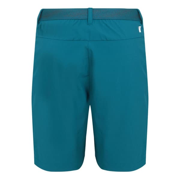 Regatta Womens/Ladies Mountain II Shorts