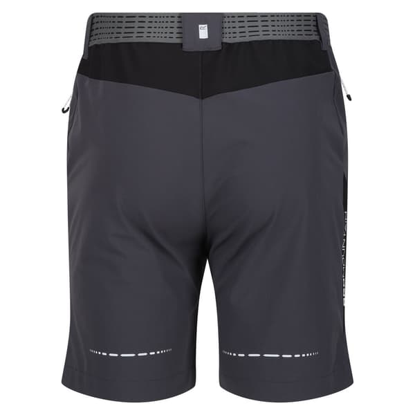 Regatta Mountain II Shorts til mænd